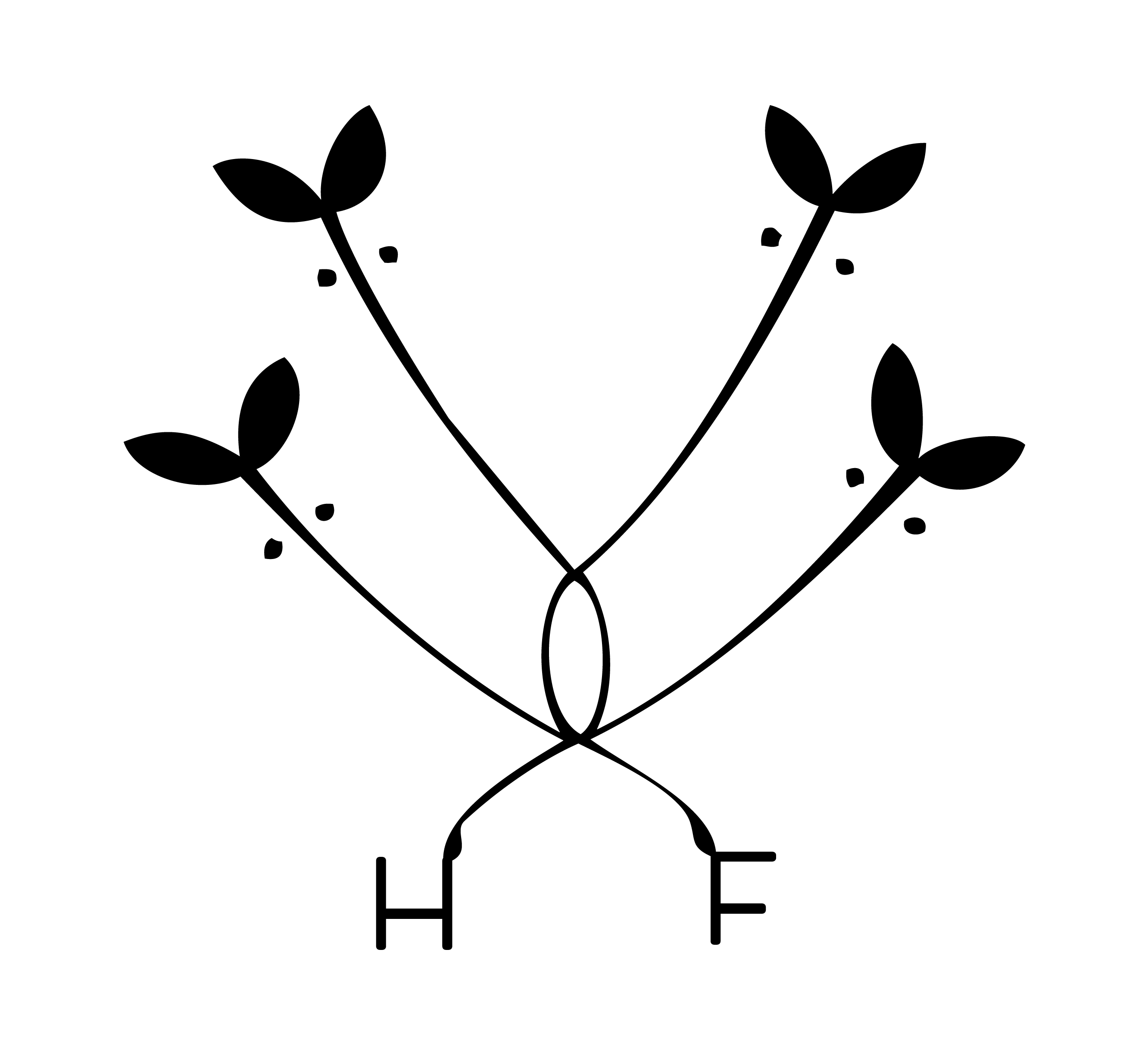 Hayfield Mazzone Catering